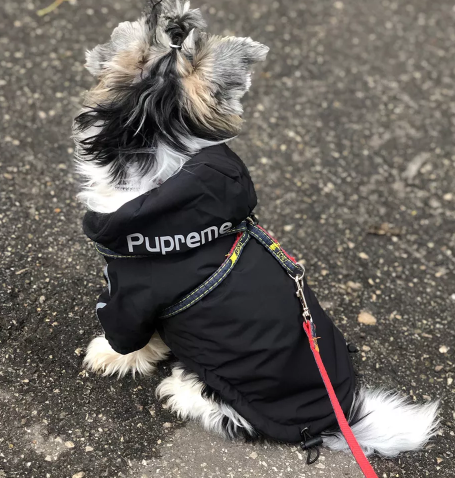 "Pupreme x The Dog Face" Vadderad Vinterjacka med Huva – Streetwear för Hundar