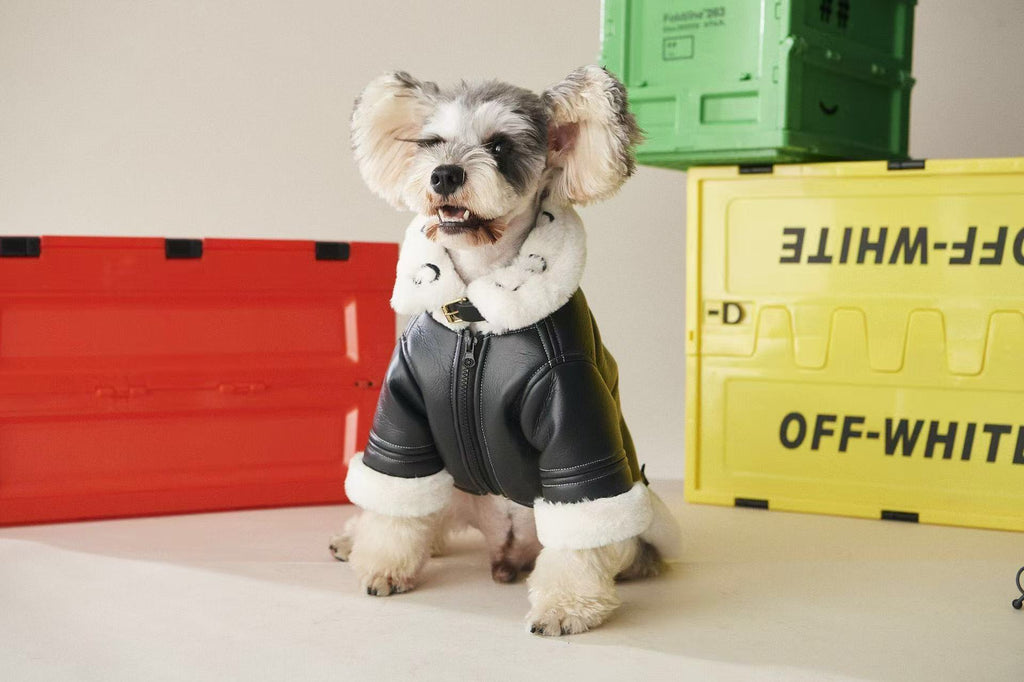 Lyxig Skinjacka med Teddyfoder – "DOG" Edition