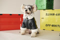 Lyxig Skinjacka med Teddyfoder – "DOG" Edition