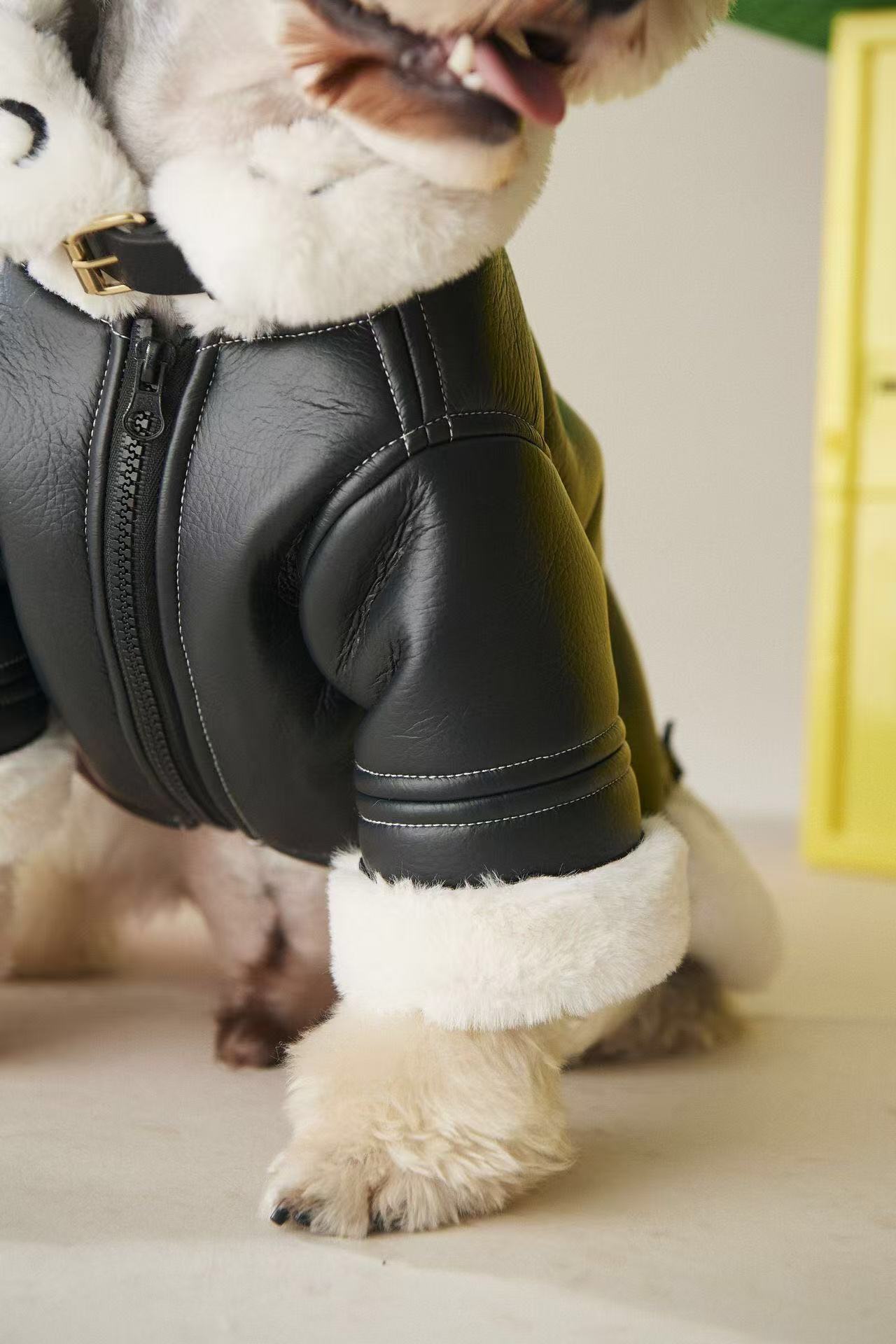 Lyxig Skinjacka med Teddyfoder – "DOG" Edition